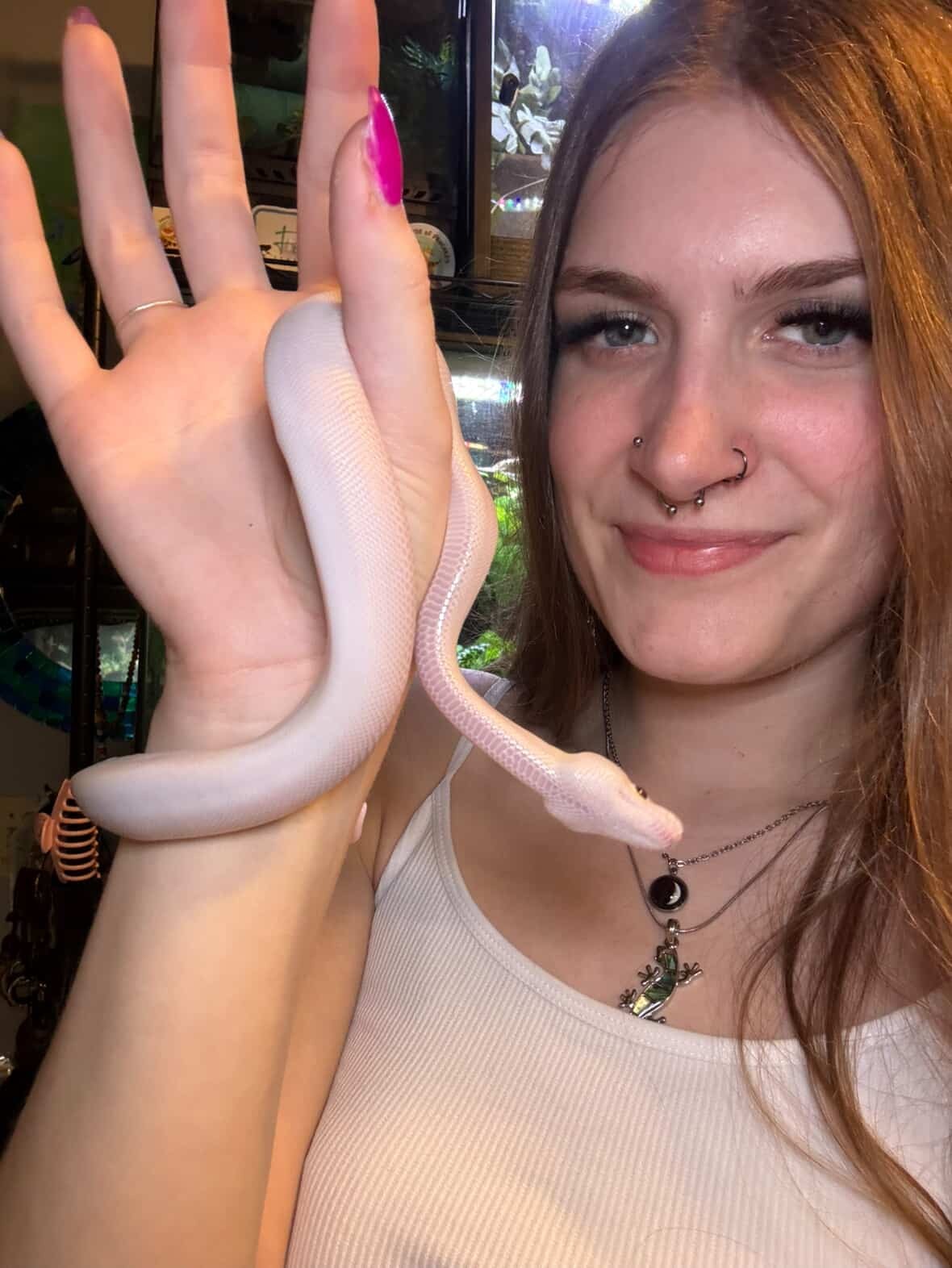 Verified Reptisitter sitter handling a ball python
