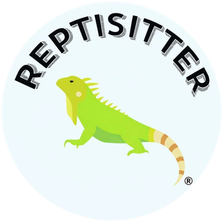 Reptisitter